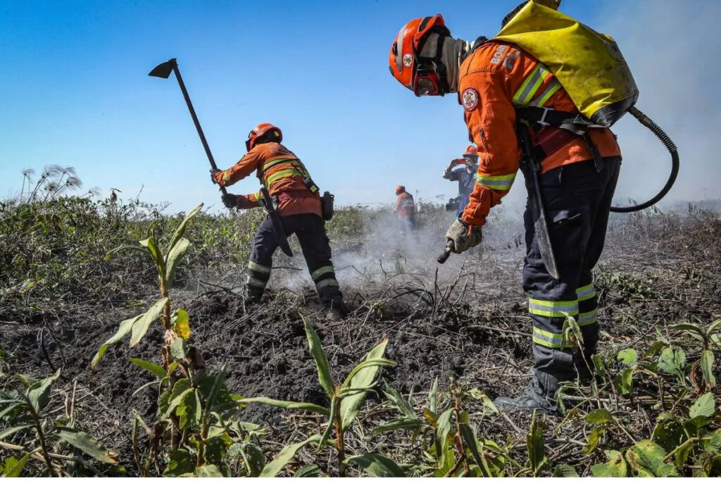 Foto brigadistas bombeiros MT