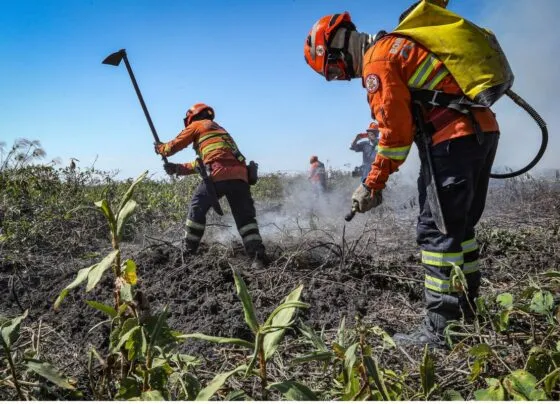 Foto brigadistas bombeiros MT