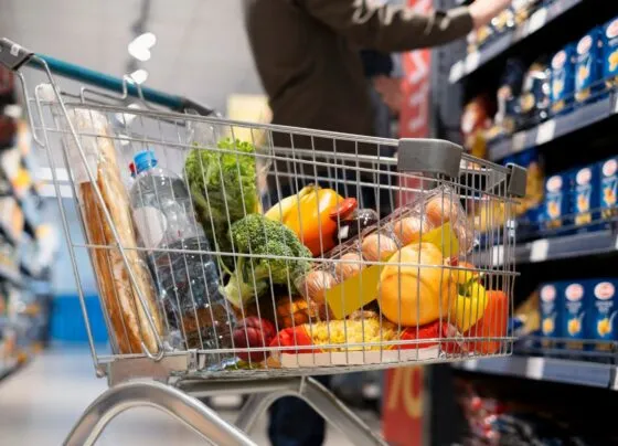 carrinho de compras, pessoa fazendo compra de cesta básica em um corredor de mercado