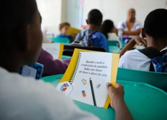 concursos educação