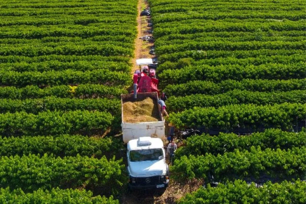 Linha de crédito oferece até R$ 1,5 milhão para pequenos produtores em Mato Grosso. (Foto: Christiano Antonucci)