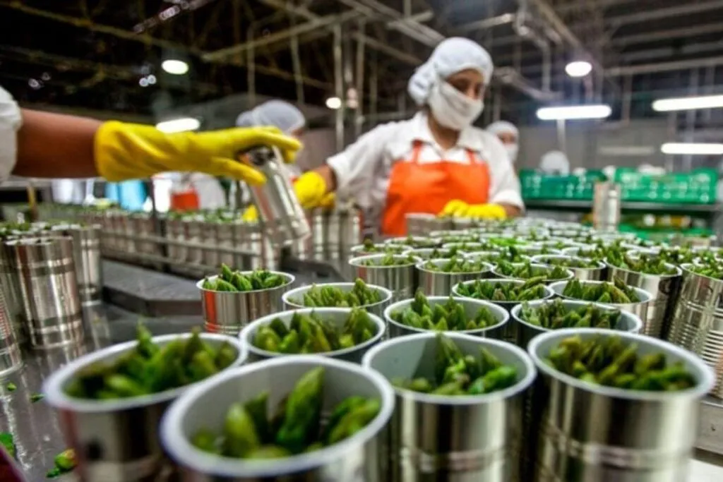 A agroindústria criou 4,9 mil empregos formais em Mato Grosso, nos primeiros 6 meses de 2024. (Foto: Reprodução)