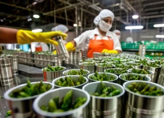 A agroindústria criou 4,9 mil empregos formais em Mato Grosso, nos primeiros 6 meses de 2024. (Foto: Reprodução)