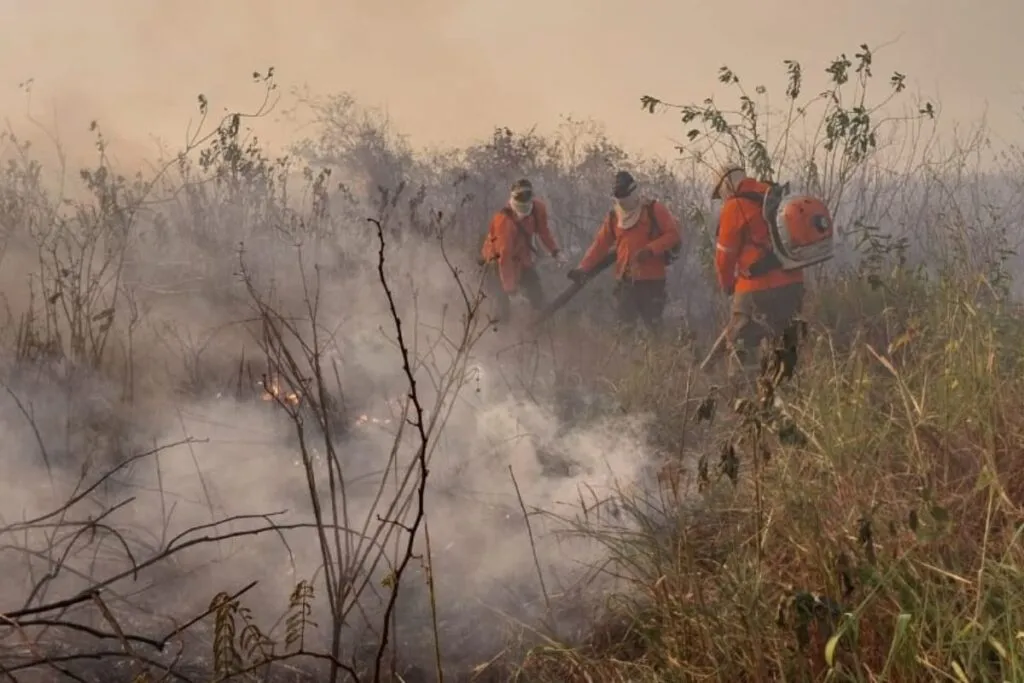 SECA INCENDIOS PANTANAL IHP 2 2