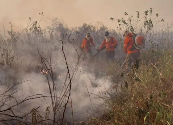 SECA INCENDIOS PANTANAL IHP 2 2