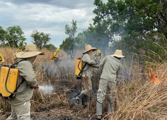 Incendio no Sesc Pantanal