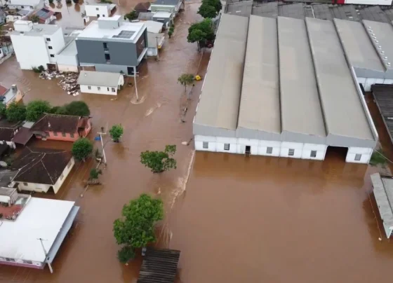 CNN Brasil