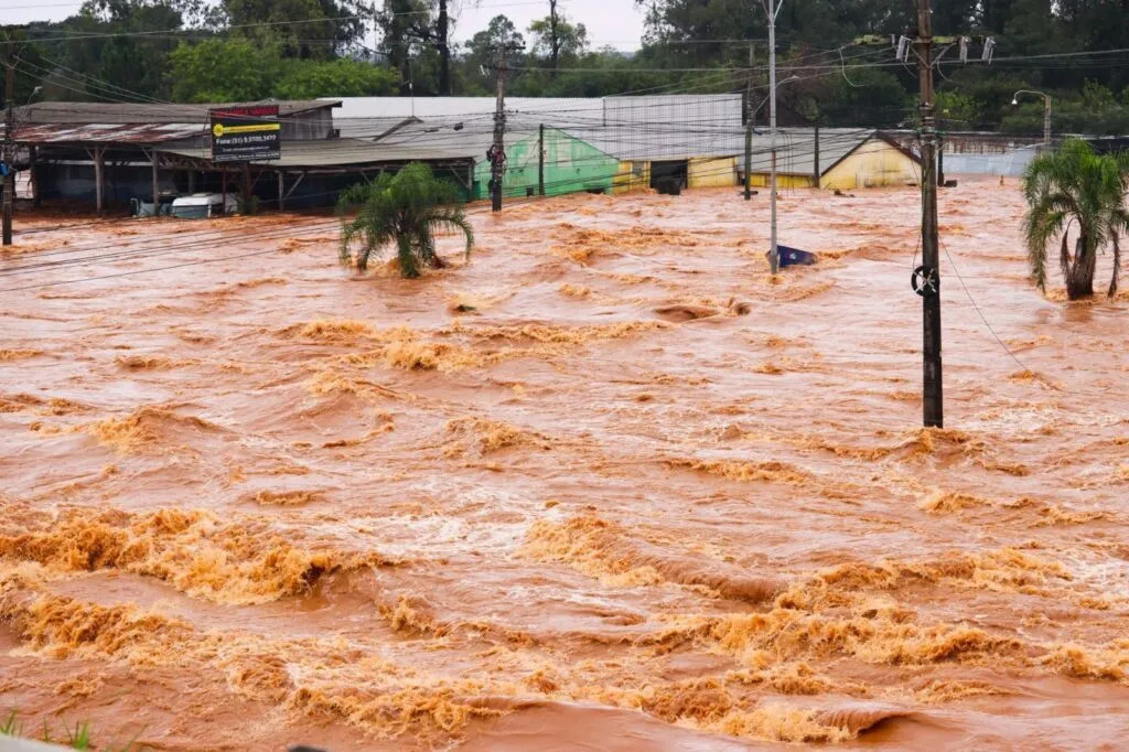 CNN Brasil