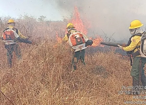 CNN Brasil