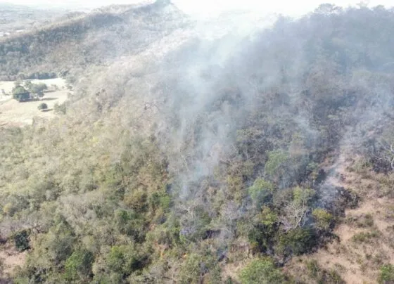 Incêndio na Fazenda Morro do Mano, em Primavera do Leste, dia 2 de agosto. (Foto: Ruan Gabriel/ TVCA)