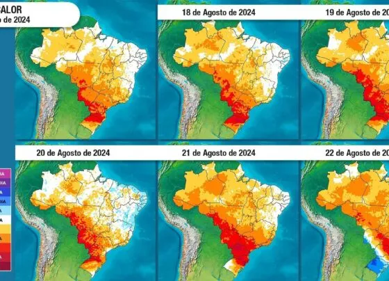 CNN Brasil