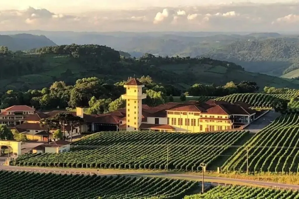 Spa do Vinho, Vale dos Vinhedos. (Foto: Reprodução)