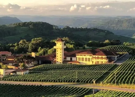 Spa do Vinho, Vale dos Vinhedos. (Foto: Reprodução)