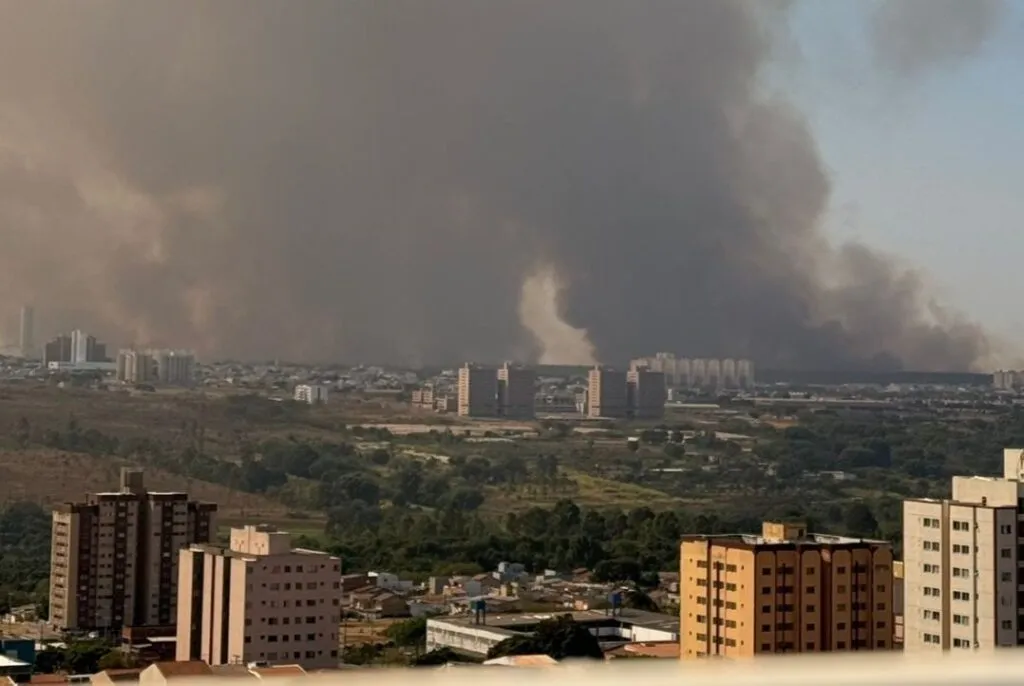 CNN Brasil