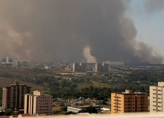 CNN Brasil