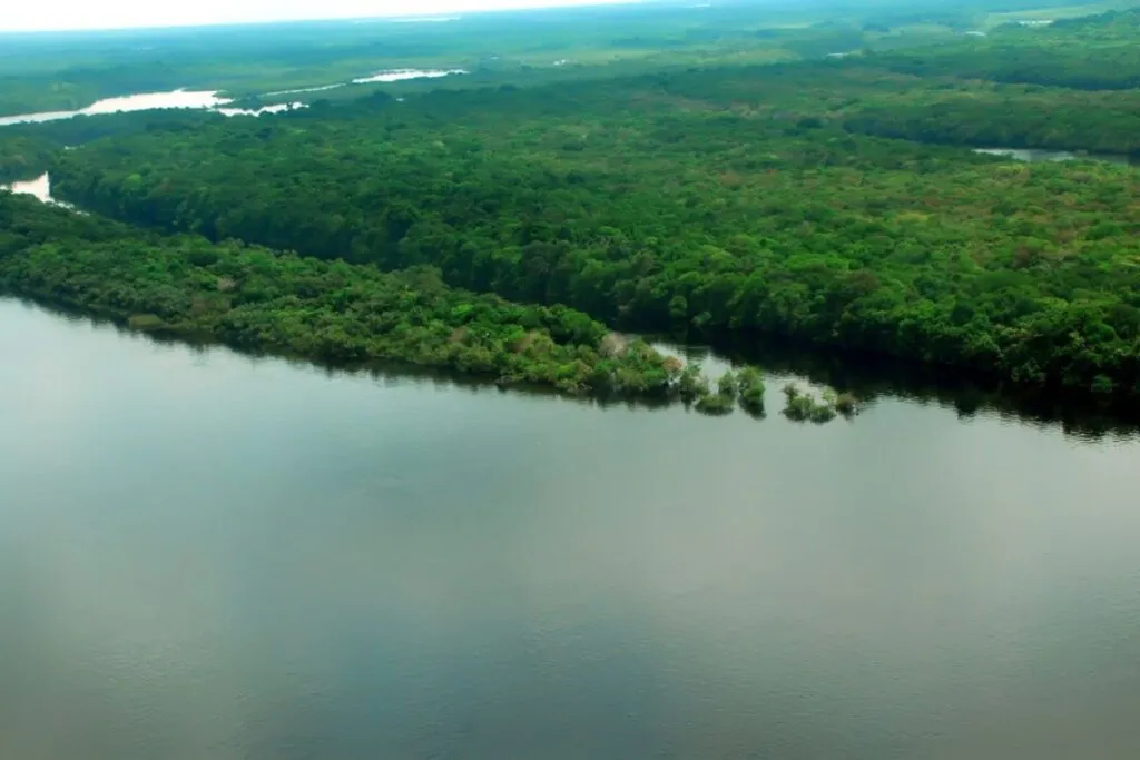 82% da perda de hectares naturais da Amazônia foi no Brasil. (Foto: Mário Oliveira/MTUR)