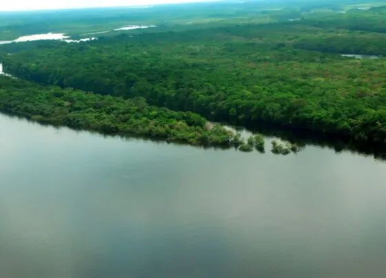 82% da perda de hectares naturais da Amazônia foi no Brasil. (Foto: Mário Oliveira/MTUR)