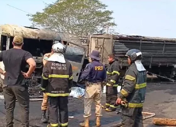 foto do acidente entre carretas na 060 em bela vista duas mortes