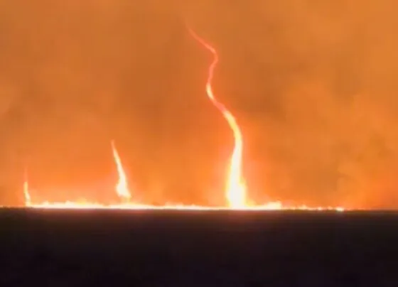 Redemoinhos se formaram durante incêndio de grandes proporções em MT. (Foto: Reprodução)