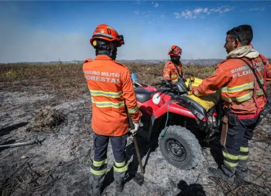 Bombeiros controlam 18 incêndios florestais em MT no fim de semana. (Foto: Michel Alvim/ Secom-MT)