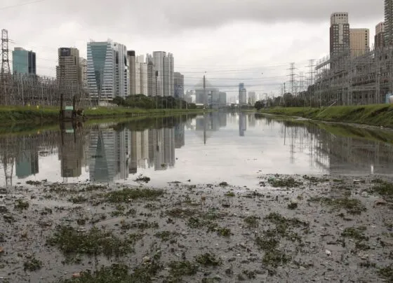 CNN Brasil