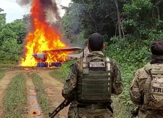 CNN Brasil