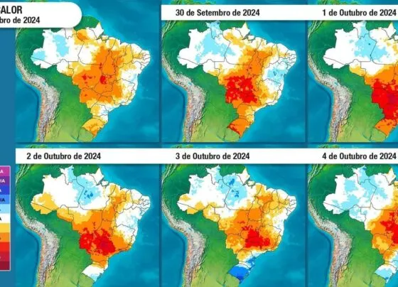 CNN Brasil