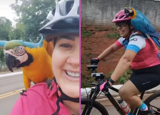 arara e ciclista