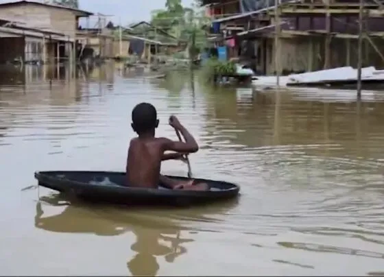 CNN Brasil