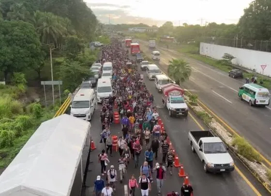 CNN Brasil