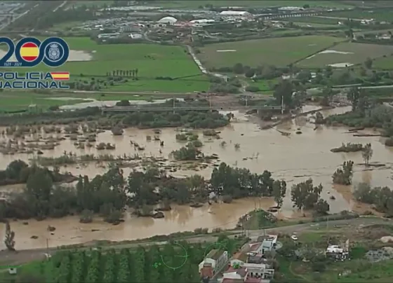 CNN Brasil