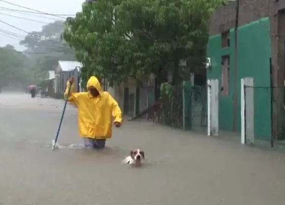 CNN Brasil