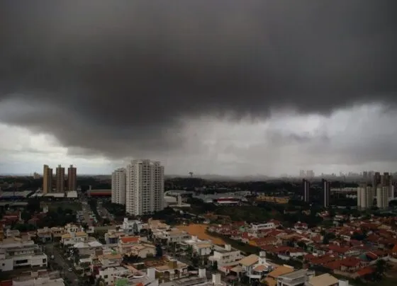 CNN Brasil