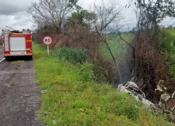 Caminhonete destruída e queimada às margens da BR-262; criança de 8 anos morreu em acidente (Foto: Divulgação)