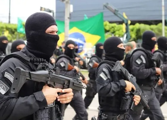 CNN Brasil