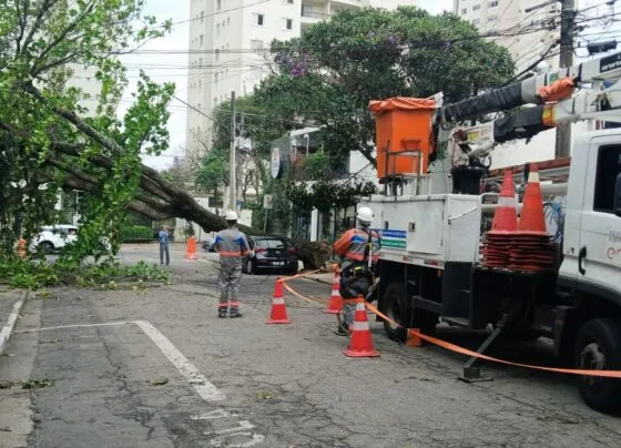 CNN Brasil