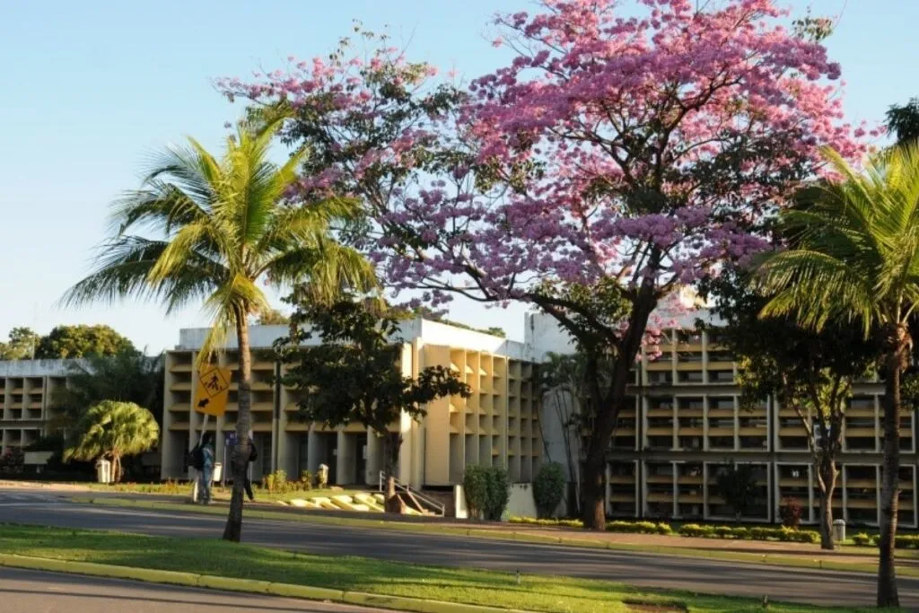 Hospital Veterinário e zoológico da UFMT recebem R$ 5 milhões em investimentos. (Foto: Divulgação)