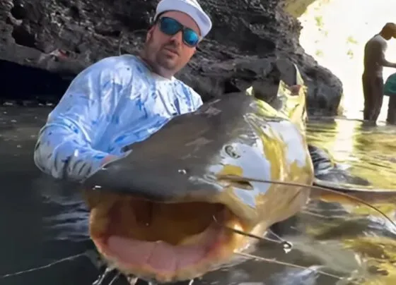 Imagem mostra turista com o peixe jaú na Caverna do Jaú.