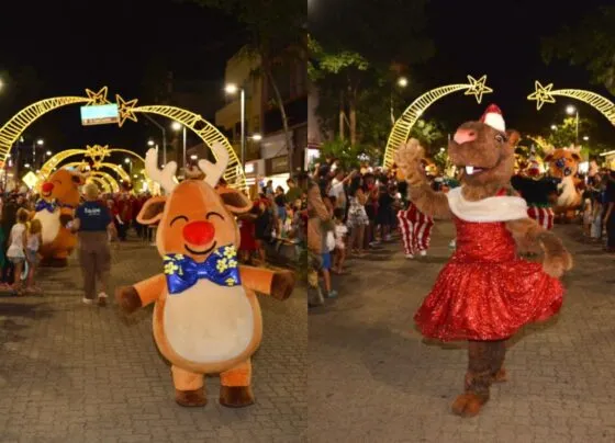 Renas e a capivara natalina particiam da Parada Natalina, em Campo Grande (Foto: Divulgação)