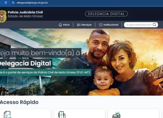 Delegacia Digital: ferramenta deve auxiliar e agilizar o registro de ocorrências de casa, pelo computador ou pelo celular. (Foto: Captura de tela/ Nathalia Okde)