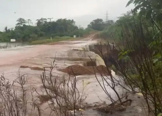 Nível da represa São Lourenço aumentou devido às chuvas. (Foto: Reprodução)