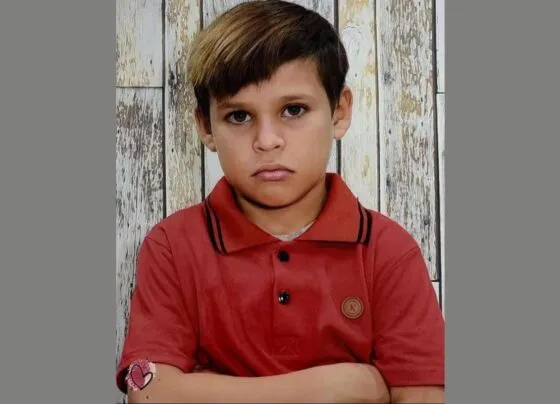 Menino de 8 anos morreu após ser atropelado na BR-163. (Foto: Redes Sociais)