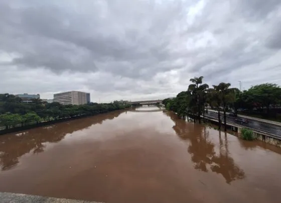 CNN Brasil