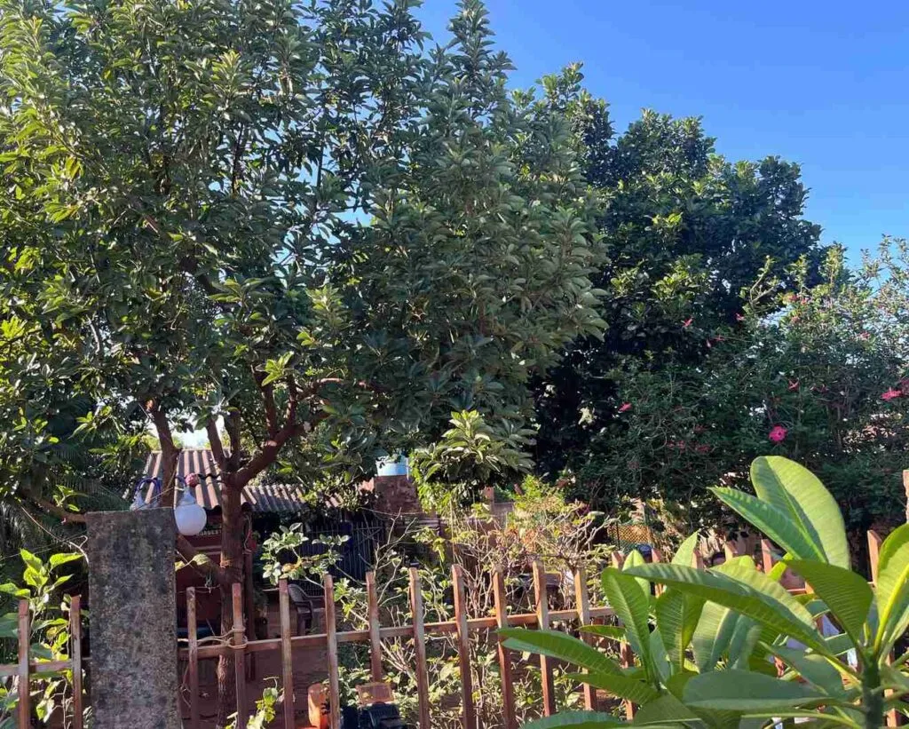 Casa onde cuidadora estava com nove crianças; bebê morreu afogado (Foto: Vinícius Souza)