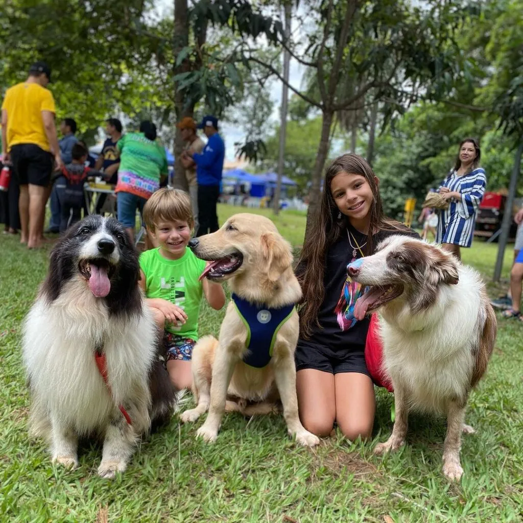 Feira Bosque da Paz