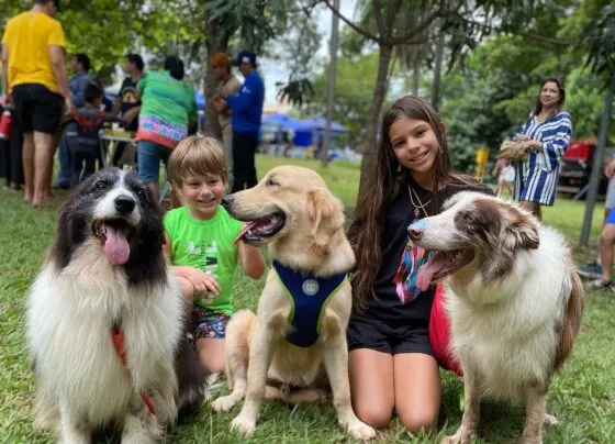 Feira Bosque da Paz