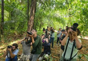 City Tour celebra aniversário da Lei de Observação de Aves