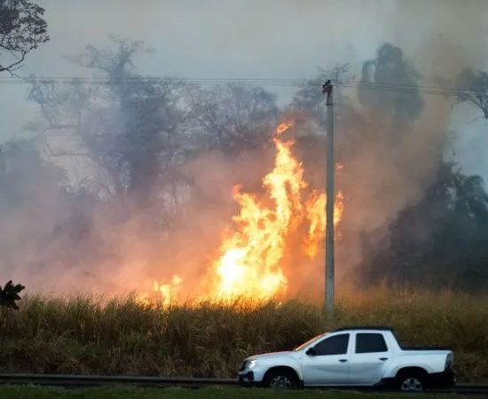 Queimadas foram causadas por condições climáticas raras e despreparo, diz